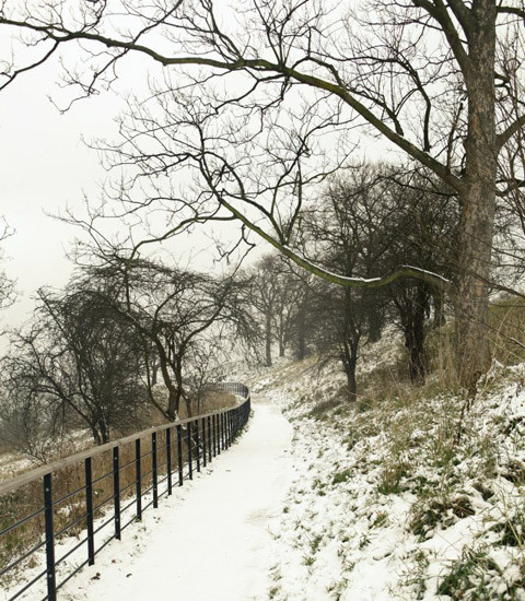 Công viên Hampstead Heath. Công viên Hampstead Heath.
