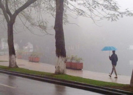 Ảnh minh họa. Ảnh minh họa.