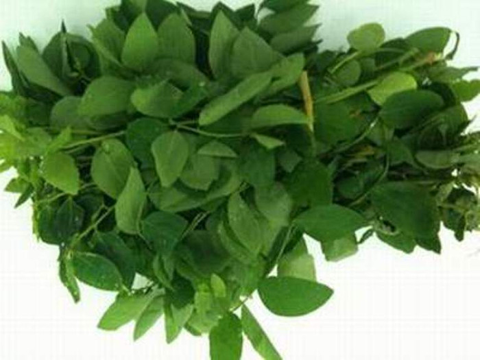 8. Lá rau ngót: Rửa sạch, chỉ lấy lá, giã nát, ép lấy nước cốt, hòa với ít mật ong. Dùng bông thấm thuốc bôi vào chỗ sưng đau, lở loét. Ngày bôi 2 - 3 lần. Có tác dụng giống như cỏ nhọ nồi. 8. Lá rau ngót: Rửa sạch, chỉ lấy lá, giã nát, ép lấy nước cốt, hòa với ít mật ong. Dùng bông thấm thuốc bôi vào chỗ sưng đau, lở loét. Ngày bôi 2 - 3 lần. Có tác dụng giống như cỏ nhọ nồi.