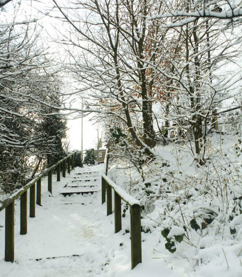 Công viên Hampstead Heath. Công viên Hampstead Heath.