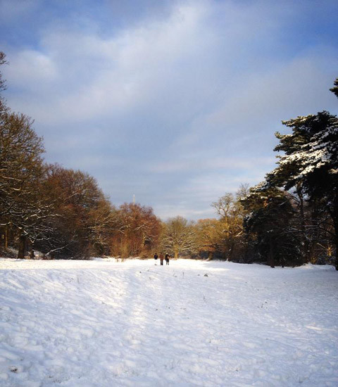 Lối vào một công viên. Lối vào một công viên.