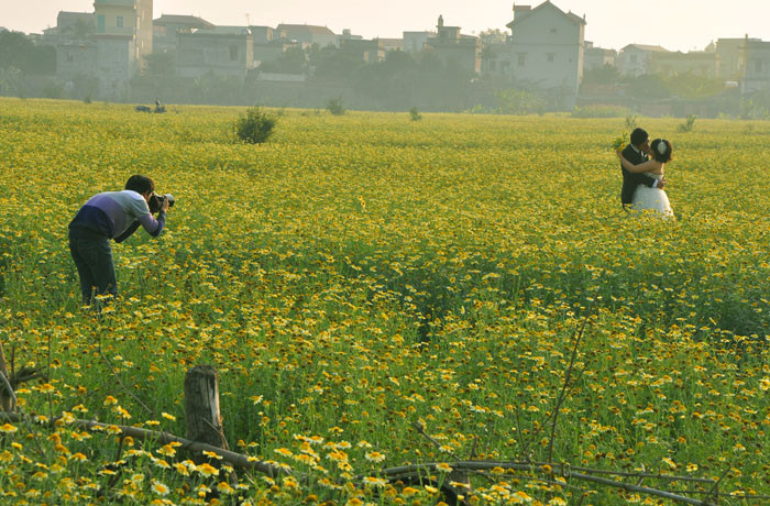 Lác đác cũng có những đôi chụp ảnh cưới từ trên thành phố tới. Lác đác cũng có những đôi chụp ảnh cưới từ trên thành phố tới.