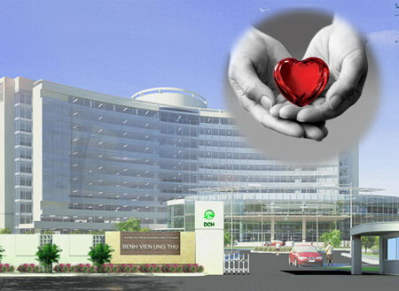 (Minh họa: Ngọc Diệp) (Minh họa: Ngọc Diệp)