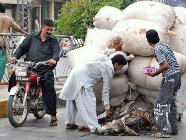 9,453 lượt like dành cho bức ảnh sau 5 giờ đăng tải. Với lời chú thích "Cuộc sống còn cần hơn nữa tình yêu thương" là thông điệp bức tranh gửi đến mọi người. 9,453 lượt like dành cho bức ảnh sau 5 giờ đăng tải. Với lời chú thích "Cuộc sống còn cần hơn nữa tình yêu thương" là thông điệp bức tranh gửi đến mọi người.