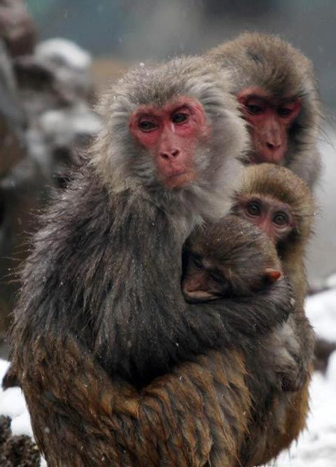 “ Rét! Nhưng ấm hơn khi có gia đình”, đó là thông điệp đầy ý nghĩa được truyền tải đến mọi người.