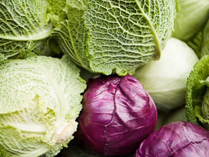 14. Các loại cải lá: Các loại cải lá bao gồm cải bó xôi, xà lách, bắp cải,… Những loại cải này có thể gây ngộ độc khi chúng bị nhiễm các loại vi khuẩn, nhiễm hóa chất trong quá trình trồng và chăm sóc. Để phòng tránh ngộ độc khi ăn các loại cải lá, bạn cần rửa sạch chúng trước khi chế biến và tránh nhiễm khuẩn chéo bằng cách rửa tay trước khi vào bếp. 14. Các loại cải lá: Các loại cải lá bao gồm cải bó xôi, xà lách, bắp cải,… Những loại cải này có thể gây ngộ độc khi chúng bị nhiễm các loại vi khuẩn, nhiễm hóa chất trong quá trình trồng và chăm sóc. Để phòng tránh ngộ độc khi ăn các loại cải lá, bạn cần rửa sạch chúng trước khi chế biến và tránh nhiễm khuẩn chéo bằng cách rửa tay trước khi vào bếp.