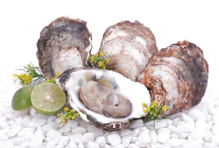 11. Hàu: Hàu là thực phẩm rất dễ bị nhiễm virus Norovirus và vi khuẩn Vibrio vulnificus, gây nôn mửa và tiêu chảy. Vì vậy, bạn không nên ăn món hàu sống, cho dù ăn với mù tạt. 11. Hàu: Hàu là thực phẩm rất dễ bị nhiễm virus Norovirus và vi khuẩn Vibrio vulnificus, gây nôn mửa và tiêu chảy. Vì vậy, bạn không nên ăn món hàu sống, cho dù ăn với mù tạt.