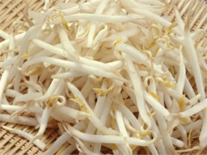 9. Giá đỗ: Giá đỗ là thực phẩm có giá trị dinh dưỡng cao cho sức khỏe nhưng cũng có thể gây ngộ độc do hạt đậu làm giá bị nhiễm độc từ đồng ruộng hoặc do người làm giá sử dụng nước ô nhiễm để tưới. Mặt khác, khí hậu ấm ở nước ta rất dễ “gieo mầm” cho vi khuẩn. FDA đề nghị người lớn tuổi, trẻ em hoặc những người bị suy giảm miễn dịch không nên ăn giá tươi mà nên luộc rồi mới ăn. 9. Giá đỗ: Giá đỗ là thực phẩm có giá trị dinh dưỡng cao cho sức khỏe nhưng cũng có thể gây ngộ độc do hạt đậu làm giá bị nhiễm độc từ đồng ruộng hoặc do người làm giá sử dụng nước ô nhiễm để tưới. Mặt khác, khí hậu ấm ở nước ta rất dễ “gieo mầm” cho vi khuẩn. FDA đề nghị người lớn tuổi, trẻ em hoặc những người bị suy giảm miễn dịch không nên ăn giá tươi mà nên luộc rồi mới ăn.