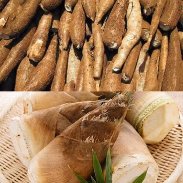 2. Sắn và măng tươi: Cyanid có trong sắn và măng tươi, còn gọi là axít hydrocyanic. Người bị ngộ độc sắn và măng tươi do rửa và ngâm không kỹ, ăn cả vỏ hoặc luộc sắn còn cả vỏ. Ngộ độc nặng hơn ở trẻ em, người suy dinh dưỡng đặc biệt là ăn sắn khi đói và ăn nhiều. 2. Sắn và măng tươi: Cyanid có trong sắn và măng tươi, còn gọi là axít hydrocyanic. Người bị ngộ độc sắn và măng tươi do rửa và ngâm không kỹ, ăn cả vỏ hoặc luộc sắn còn cả vỏ. Ngộ độc nặng hơn ở trẻ em, người suy dinh dưỡng đặc biệt là ăn sắn khi đói và ăn nhiều.