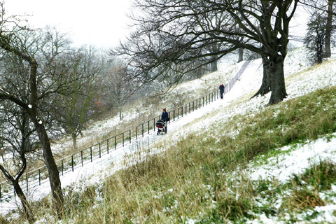 Hai vợ chồng đưa con đi chơi công viên. Hai vợ chồng đưa con đi chơi công viên.