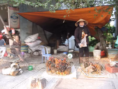 Một điểm buôn, bán và giết mổ tạm bợ trên đường Đồng Khởi, TP Biên Hòa.