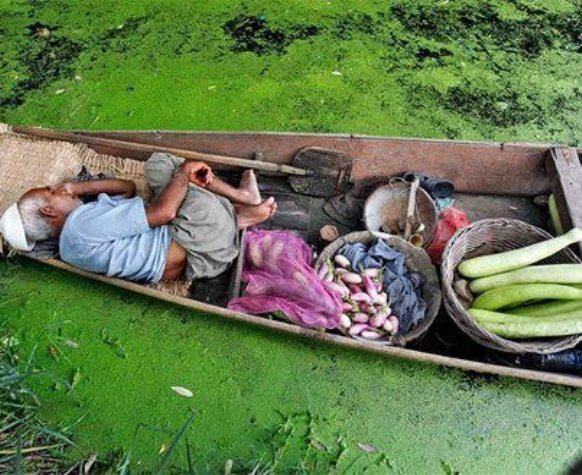 "Cảm ơn những người làm cha đã vất vả nuôi chúng con khôn lớn. Cảm ơn Cha Mẹ vì tất cả mọi thứ". "Cảm ơn những người làm cha đã vất vả nuôi chúng con khôn lớn. Cảm ơn Cha Mẹ vì tất cả mọi thứ".