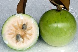 Không nên ăn nhiều vì vú sữa tính nóng.