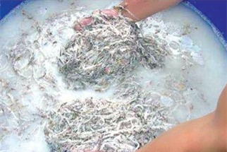 Quy trình chế biến yến sào trong giai đoạn ngâm thuốc tẩy. Quy trình chế biến yến sào trong giai đoạn ngâm thuốc tẩy.