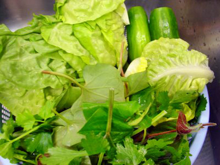 Các loại rau sống có tàn lưu các loại thuốc trừ sâu cùng các loại trứng, ấu trùng giun sán như: giun móc, giun đũa chó mèo, sán lá gan…