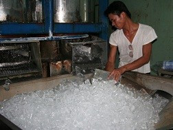 Khó kiểm soát chất lượng đá viên từ những cơ sở sản xuất tư nhân. Khó kiểm soát chất lượng đá viên từ những cơ sở sản xuất tư nhân.