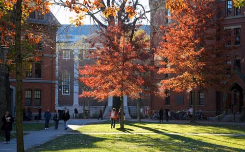 2. Harvard là trường đại học lâu đời nhất ở Mỹ, được xây dựng từ năm 1636. Không chỉ nổi tiếng là nơi đào tạo nhân tài, Havard còn có kiến trúc tuyệt đẹp. Điểm nhấn của trường là các tòa nhà gạch đỏ và khuôn viên đầy cây xanh. 2. Harvard là trường đại học lâu đời nhất ở Mỹ, được xây dựng từ năm 1636. Không chỉ nổi tiếng là nơi đào tạo nhân tài, Havard còn có kiến trúc tuyệt đẹp. Điểm nhấn của trường là các tòa nhà gạch đỏ và khuôn viên đầy cây xanh.