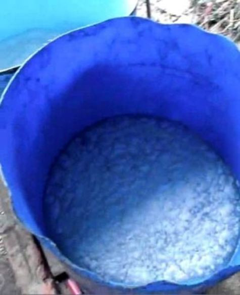 Bì lợn được các chủ sản xuất gom về xưởng, đợi đủ hàng mới tập trung chế biến, nên nhiều bì lợn bị ôi, bốc mùi hôi thối. Nhưng với công nghệ 'bí mật', những miếng bì lợn bốc mùi sẽ được 'phù phép' thành những sản phẩm tới tay người tiêu dùng sau khi được ngâm từ 3 - 4 giờ đồng hồ trong thùng chứa “hóa chất lạ”. (Nguồn Kiến thức)