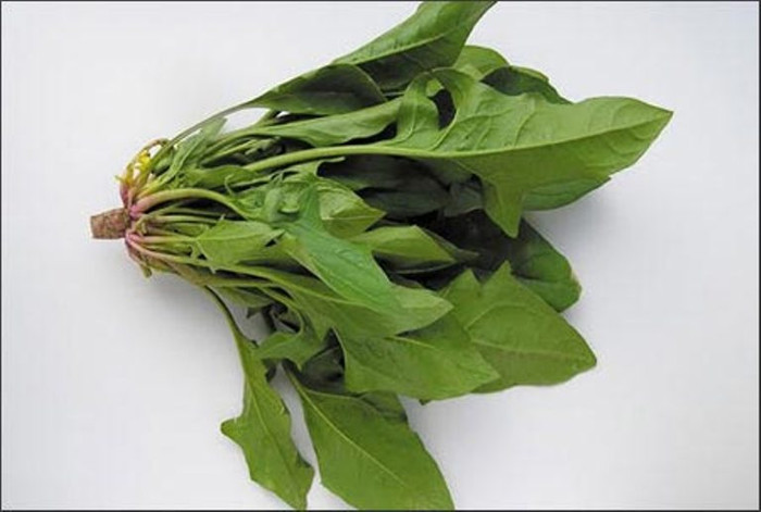 4. Rau bina: Đây là một công cụ bảo vệ mắt. Nó có một nguồn giàu vitamin C, beta-carotene, lutein và zeaxanthin. Tất cả những thành phần này rất tốt cho đôi mắt khỏe mạnh và thị lực tốt. 4. Rau bina: Đây là một công cụ bảo vệ mắt. Nó có một nguồn giàu vitamin C, beta-carotene, lutein và zeaxanthin. Tất cả những thành phần này rất tốt cho đôi mắt khỏe mạnh và thị lực tốt.