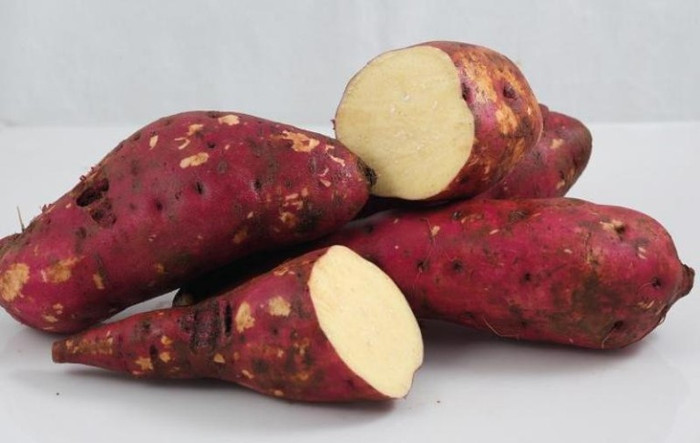 2. Khoai lang: Khoai lang là một nguồn rất giàu vitamin A - cần thiết cho mắt khỏe mạnh. 2. Khoai lang: Khoai lang là một nguồn rất giàu vitamin A - cần thiết cho mắt khỏe mạnh.