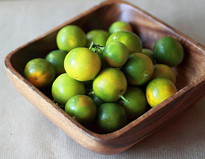 Nếu trẻ ho đàm loãng nhiều, nước mũi trong, gặp gió lạnh ho tăng do phế hàn... tốt nhất nên ăn ôn bổ phế tiêu đàm gồm: 1. Tắc chưng mật ong: Tắc chín 4 - 5 quả, đường phèn 20g, gừng tươi 3 lát, chưng cách thủy chắt lấy nước uống ngày vài lần. Nếu trẻ ho đàm loãng nhiều, nước mũi trong, gặp gió lạnh ho tăng do phế hàn... tốt nhất nên ăn ôn bổ phế tiêu đàm gồm: 1. Tắc chưng mật ong: Tắc chín 4 - 5 quả, đường phèn 20g, gừng tươi 3 lát, chưng cách thủy chắt lấy nước uống ngày vài lần.