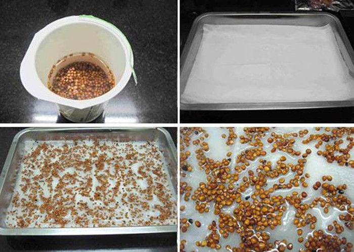 11. Nếu ho đàm quá nhiều dùng bài: Hạt cải canh 4g, hạt cải củ 4g, hạt tía tô 4g. Cách dùng sao thơm sắc uống ngày 1 thang. Bài này rất thích hợp trẻ ho đàm khó thở, ăn kém, bụng đầy. 11. Nếu ho đàm quá nhiều dùng bài: Hạt cải canh 4g, hạt cải củ 4g, hạt tía tô 4g. Cách dùng sao thơm sắc uống ngày 1 thang. Bài này rất thích hợp trẻ ho đàm khó thở, ăn kém, bụng đầy.