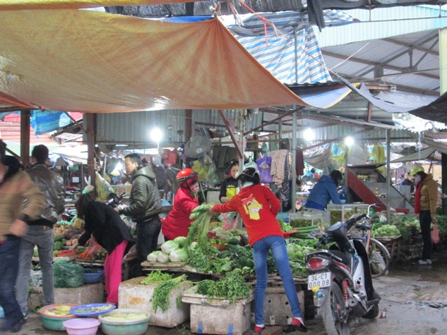 Một số loại rau được tiêu thụ mạnh như: rau bắp cải, rau cải, cải xoong, xúp lơ xanh…