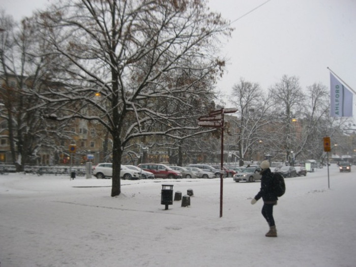 Đây cũng là nơi có Đại học Uppsala (thành lập năm 1477) là trường đại học cổ nhất Scandinavia và là trường cổ nhất ở Bắc Âu.