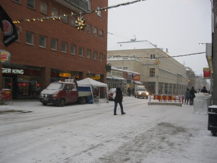 Nhà thờ Uppsala được xây dựng năm 1289 và hoàn thành năm 1435 theo phong cách kiến trúc gô-tic là một công trình kiến trúc nổi bật của thành phố này, năm 1702 bị hỏa hoạn đốt cháy một phần và chỉ được trùng tu một phần).