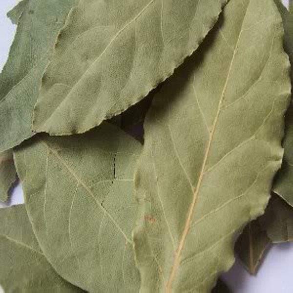 8. Lá cây nguyệt quế, vỏ chanh: Dùng bột lá khô của cây nguyệt quế cùng với vỏ chanh khô chà xát lên răng giúp răng trắng và sạch. 8. Lá cây nguyệt quế, vỏ chanh: Dùng bột lá khô của cây nguyệt quế cùng với vỏ chanh khô chà xát lên răng giúp răng trắng và sạch.