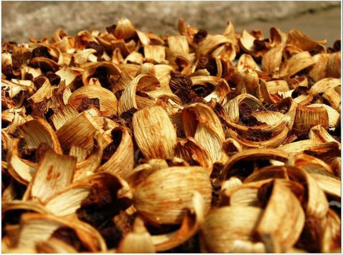 13. Cau khô: Kinh nghiệm dân gian, dùng miếng cau bổ tư chà trên răng giúp răng bóng sạch. 13. Cau khô: Kinh nghiệm dân gian, dùng miếng cau bổ tư chà trên răng giúp răng bóng sạch.