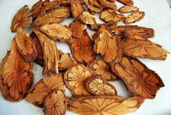 Tân di 9g, hồng đằng 30g sắc uống ấm. Tân di 9g, hồng đằng 30g sắc uống ấm.