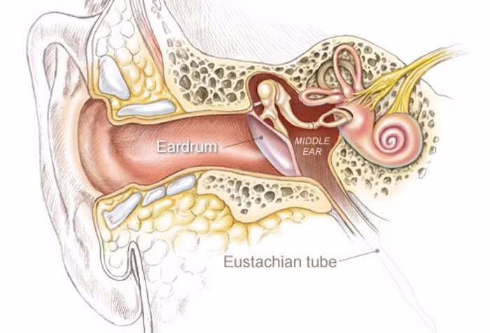 2. Nhiễm trùng tai: Đây là căn bệnh trẻ nhỏ rất hay mắc phải, bệnh do một loại virus gây nên. Các triệu chứng ban đầu bao gồm sốt, buồn bực, hay cáu, và kéo tai. Điều cần lưu ý với các bà mẹ đó là phải vệ sinh tai luôn sạch sẽ cho con. Khi bị nhiễm trùng có thể dùng thuốc theo sự chỉ dẫn của bác sĩ.