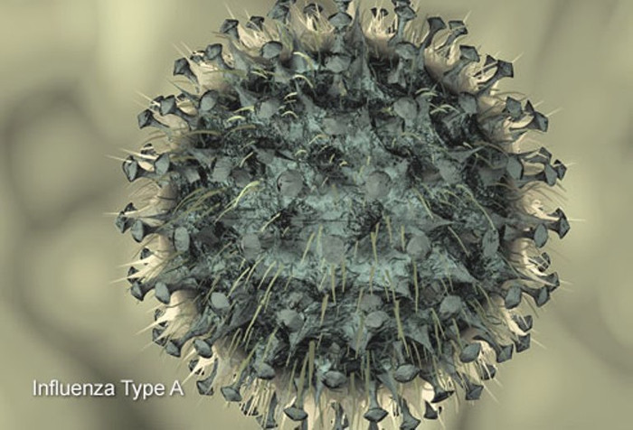 23. Cúm: Là bệnh viêm nhiễm cấp tính đường hô hấp gây nên bởi virus cúm lây truyền nhanh, thường thành dịch 23. Cúm: Là bệnh viêm nhiễm cấp tính đường hô hấp gây nên bởi virus cúm lây truyền nhanh, thường thành dịch