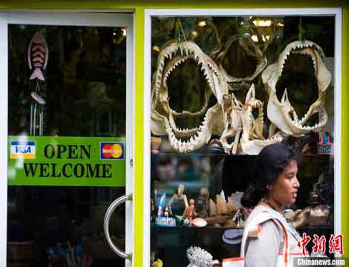 Cửa hàng bán hàm cá mập trên phố ở Maldives. Cửa hàng bán hàm cá mập trên phố ở Maldives.