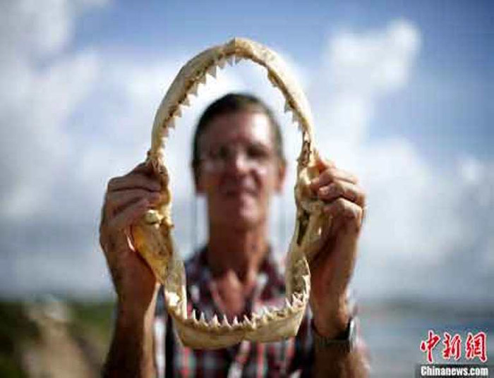 Người đàn ông với hàm cá mập khô. Người đàn ông với hàm cá mập khô.