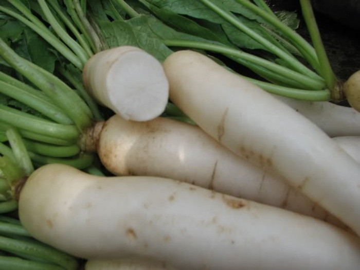 1. Chữa gout bằng củ cải trắng: Củ cải trắng 250g thái chỉ, dầu thực vật 50g. Củ cải rán qua với dầu rồi thêm 30g bá tử nhân, nước 500ml, đun chín cho thêm gia vị ăn hàng ngày.