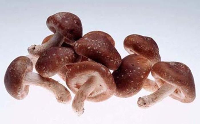 8. Chữa gout bằng cải bó xôi, nấm hương: Cải bó xôi 100g, nấ hương 20g, gia vị vừa đủ. Cải bó xôi rửa sạch, thái nhỏ, nấm hương rửa sạch, bỏ chân. Cho 2 thứ vào nồi, đổ vừa nước, đun chín, thên gia vị vừa ăn, ăn lúc nóng, ngày 2 lần, ăn trong 5 - 7 ngày.