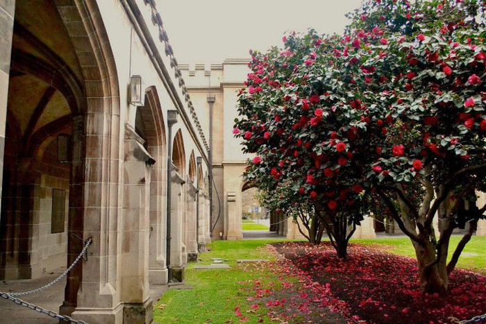 Mã số 31:Tác giả : Le Thi Quynh Lien (Swinburne University)- Giải lời bình hay nhất Mã số 31:Tác giả : Le Thi Quynh Lien (Swinburne University)- Giải lời bình hay nhất