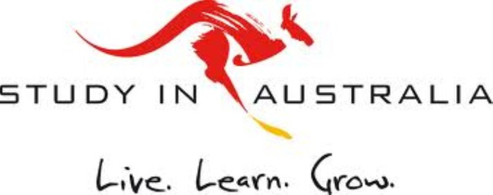 (ảnh minh họa- nguồn internet)