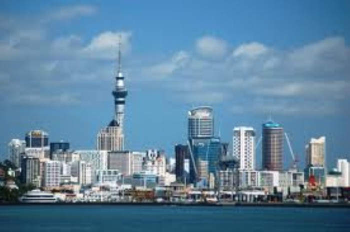 Ở New Zealand không có sách giáo khoa cho bậc tiểu học ảnh 4