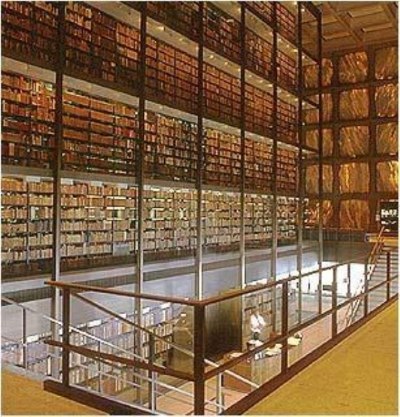 Yale là một viện đại học tư thục tọa lạc ở New Haven, bang Connecticut. Trường được thành lập vào năm 1701, với hệ thống thư viện khoảng 13 triệu cuốn sách, lớn thứ 2 trong hệ thống thư viện của các trường đại học tại Mỹ. Ngôi trường này nổi tiếng về chất lượng giáo dục hàng đầu thế giới, đã từng đào tạo nên 4 vị tổng thống Mỹ gồm Gerald Ford, George H. W. Bush, Bill Clinton và George W. Bush. Yale là một viện đại học tư thục tọa lạc ở New Haven, bang Connecticut. Trường được thành lập vào năm 1701, với hệ thống thư viện khoảng 13 triệu cuốn sách, lớn thứ 2 trong hệ thống thư viện của các trường đại học tại Mỹ. Ngôi trường này nổi tiếng về chất lượng giáo dục hàng đầu thế giới, đã từng đào tạo nên 4 vị tổng thống Mỹ gồm Gerald Ford, George H. W. Bush, Bill Clinton và George W. Bush.