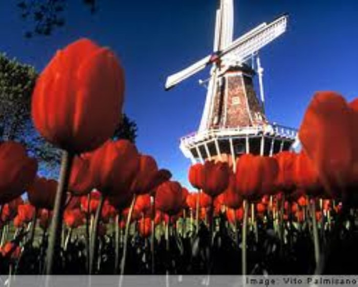 (anh minh họa) (anh minh họa)