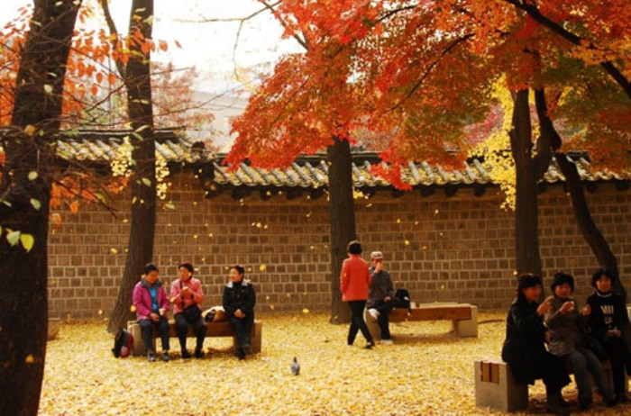 Deoksugung ( Cung Đức Thọ) Deoksugung ( Cung Đức Thọ)