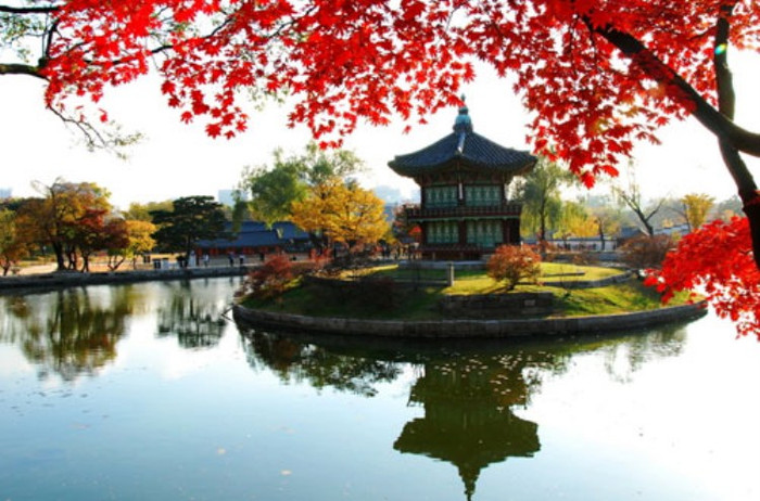 Gyeongbokgung ( Cung Cảnh Phúc) Gyeongbokgung ( Cung Cảnh Phúc)