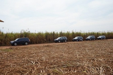 Cây mía ở đây phát triển tốt và cho năng suất cao. Sau nhiều thử nghiệm, bầu Đức chọn giống mía của Thái Lan. (Ảnh: Một thế giới) Cây mía ở đây phát triển tốt và cho năng suất cao. Sau nhiều thử nghiệm, bầu Đức chọn giống mía của Thái Lan. (Ảnh: Một thế giới)