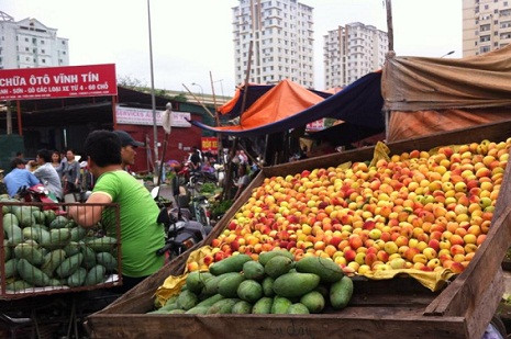Những xe đào chín đỏ được giới thiệu là đào Sa Pa xuất hiện trên nhiều tuyến đường, khu chợ ở Hà Nội.