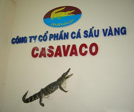 Công ty cổ phần Cá sấu Vàng nằm trong danh sách xử phạt của Cục An toàn thực phẩm. Công ty cổ phần Cá sấu Vàng nằm trong danh sách xử phạt của Cục An toàn thực phẩm.