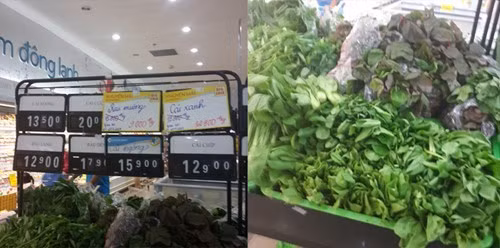 Nhiều loại rau được bán tại siêu thị Ocean Mart Làng Quốc tế Thăng Long chỉ ghi biển giá và không ghi rõ nguồn gốc, xuất xứ. (Ảnh báo Kiến thức chụp ngày 25/4/2014) Nhiều loại rau được bán tại siêu thị Ocean Mart Làng Quốc tế Thăng Long chỉ ghi biển giá và không ghi rõ nguồn gốc, xuất xứ. (Ảnh báo Kiến thức chụp ngày 25/4/2014)