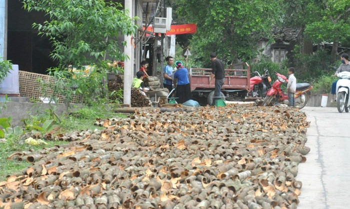 Các chính sách mở ra cơ hội đào tạo nghề giúp giảm nghèo bền vững, thu hẹp nhanh khoảng cách giàu nghèo, chênh lệch vùng, miền (Ảnh: CTV)